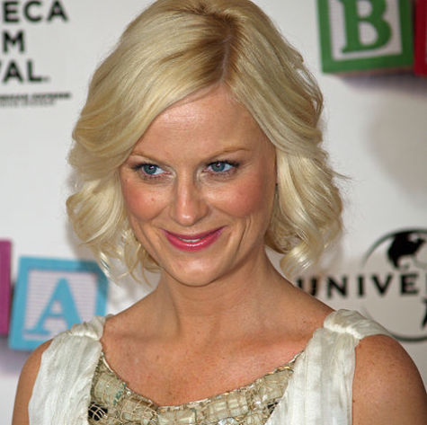 What's the 411? Comedian and actress Amy Poehler, of SNL, Mean Girls and Parks and Rec fame, was born on this day in 1971. Happy birthday Amy! 