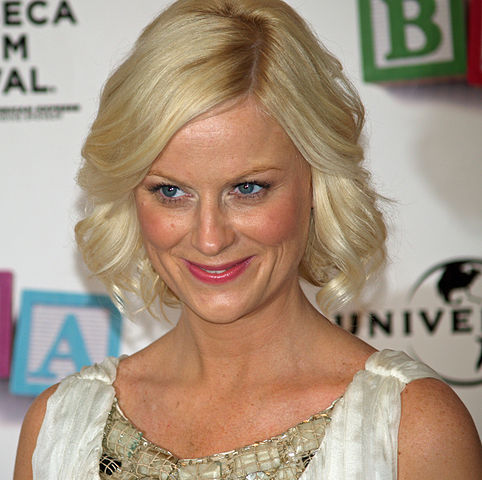 Whats the 411? Comedian and actress Amy Poehler, of SNL, Mean Girls and Parks and Rec fame, was born on this day in 1971. Happy birthday Amy! 