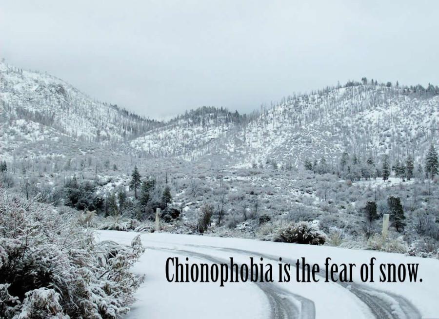 Chionophobia is the fear of snow.
