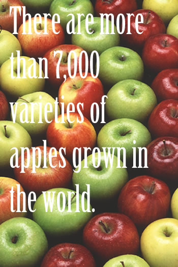 There are more than 7,000 varieties of apples grown in the world.