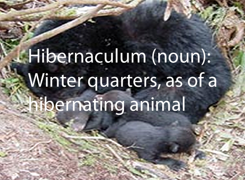 Hibernaculum (noun)
