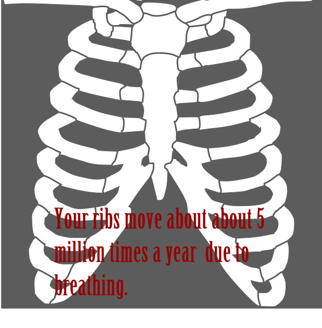 Your+ribs+move+about+about+5+million+times+a+year+due+to+breathing.