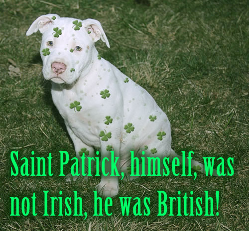 Saint Patrick, himself, was not Irish, he was British!
