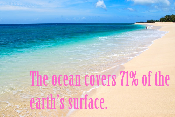 The ocean covers 71% of the earths surface.