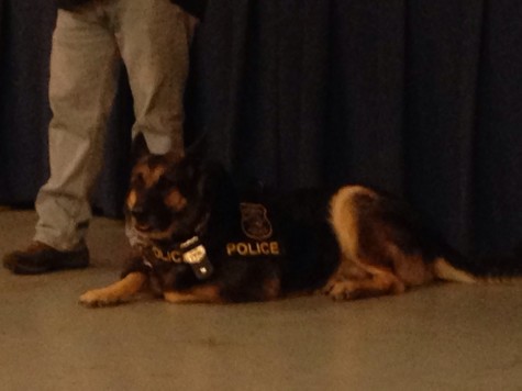 Lucky, retired police dog, relaxes on the floor while Officer Meade speaks to students.