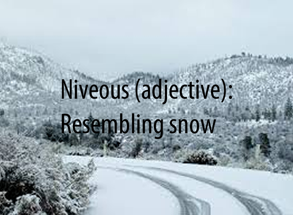 Niveous (adjective)