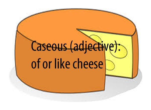 Caseous (adjective)