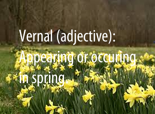 Vernal (adjective)