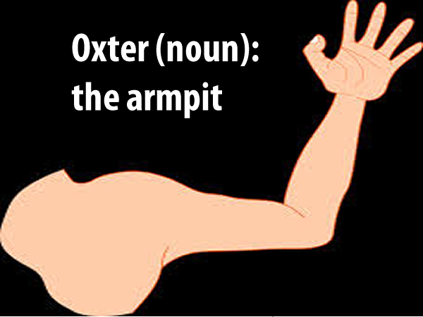 Oxter (noun)