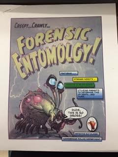 Forensic Entomoligist comes to talk to students