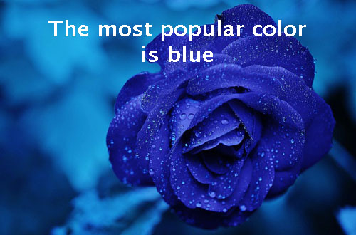 The most popular color is blue