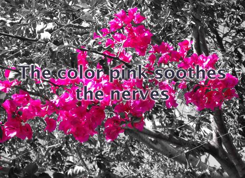The color pink soothes the nerves