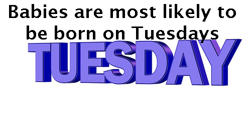 Babies are most likely to be born on Tuesdays