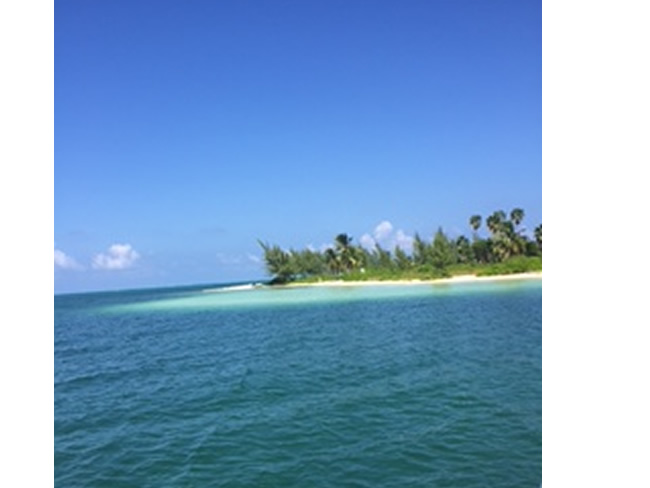 Starfish+point+in+Grand+Cayman+Island+