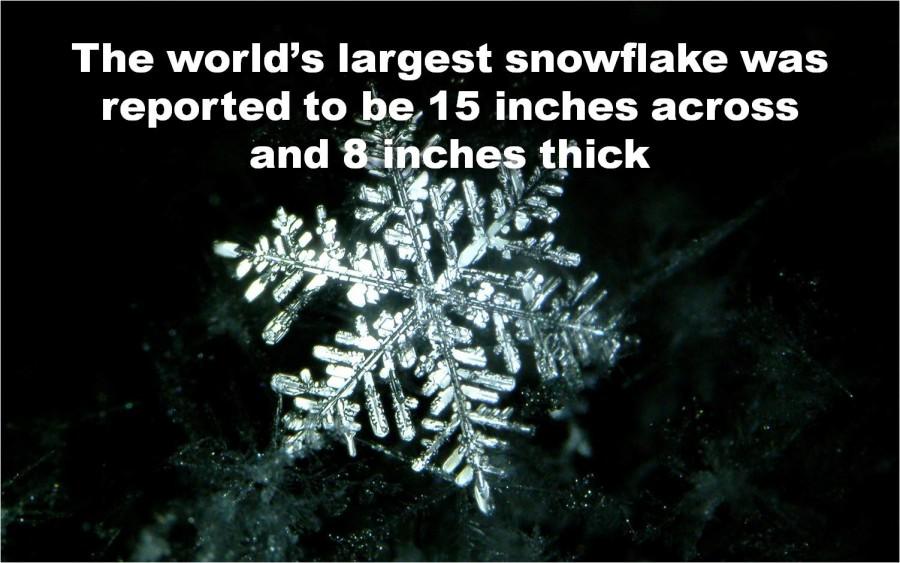 The world’s largest snowflake was reported to be 15 inches across and 8 inches thick