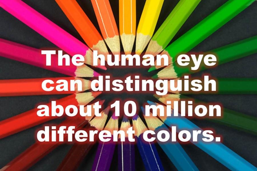 The human eye can distinguish about 10 million different colors