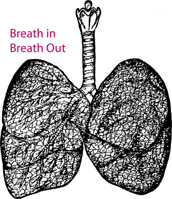 photo via http://www.publicdomainpictures.net/view-image.php?image=130311&picture=breathing-organs under the creative commons license 