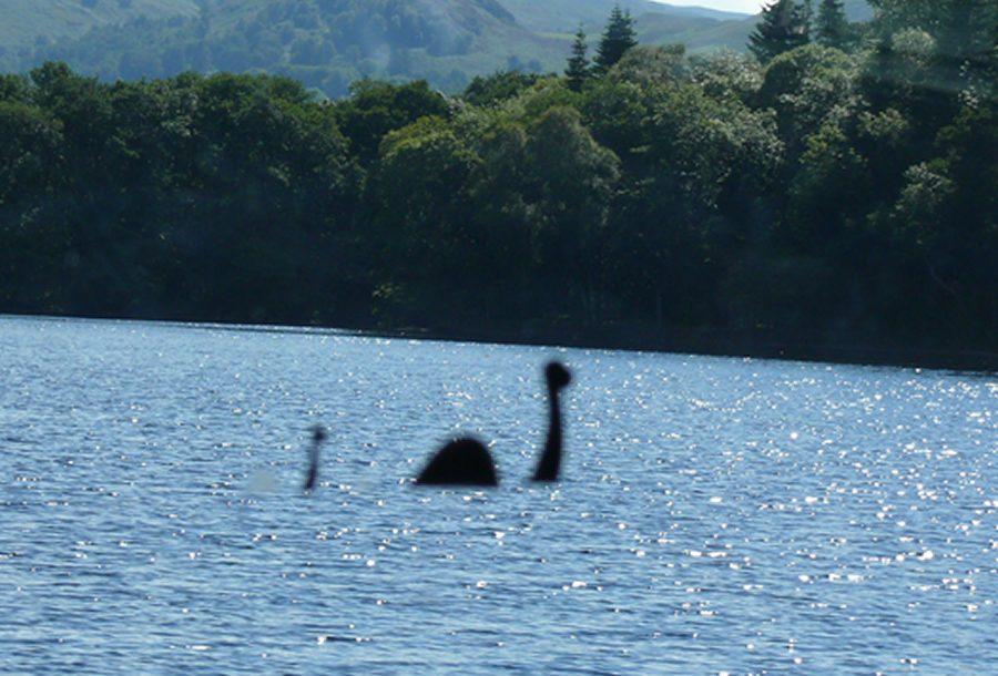 the loche ness monster just floating through the lake
