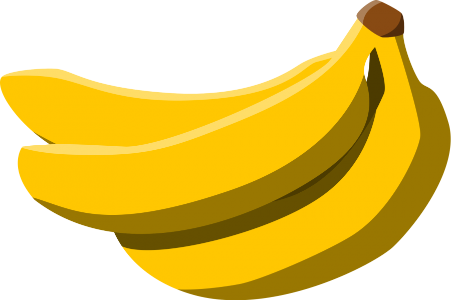 Bananas are curved because they grow towards the Sun