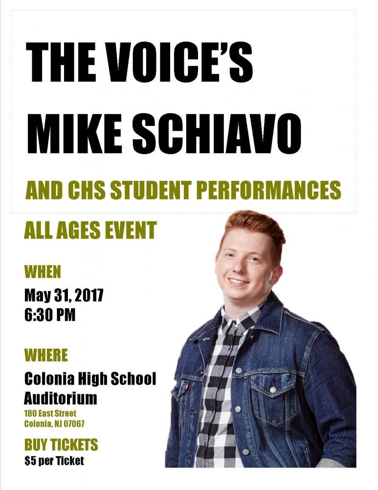 Mike Schiavo Performance Flyer