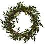 In Ancient Greece, Olympic athletes won olive wreaths instead of medals ...
