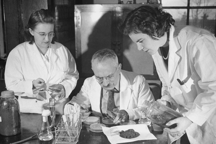 Working tirelessly to find a treatment for tuberculosis Selmart A. Waksman sits in his lab  with his assistants. 