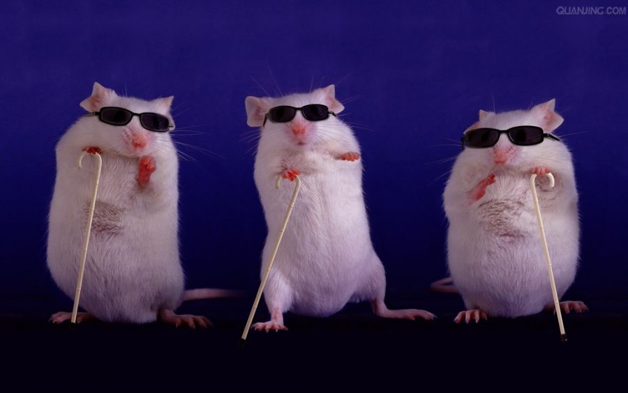 Three Blind Mice Rhyme Is Published The Declaration