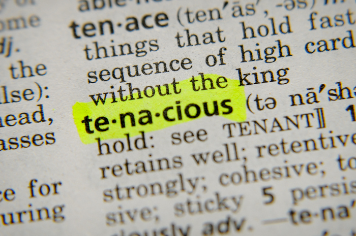 The word tenacious in the dictionary.
