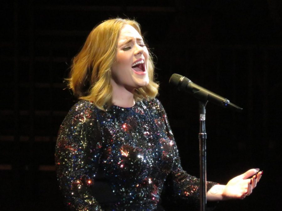 Singing Chasing Pavements, Adele performs on Saturday Night Live.