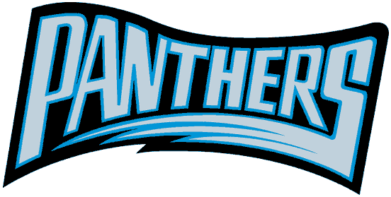 Seen here is the Panthers logo from their inaugural season in 1995.