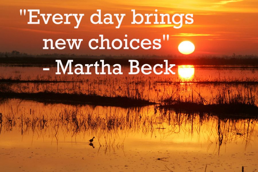 This quote is by American Author, Martha Beck. 