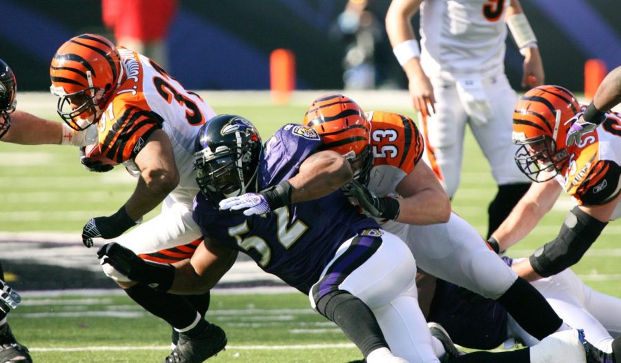 Seen here is Ravens legend Ray Lewis (Purple) making a tackle on Bengals running back Jeremi Johnson (#30).