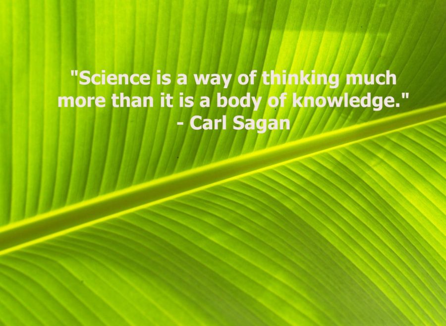 This is a quote by Scientist, Carl Sagan.