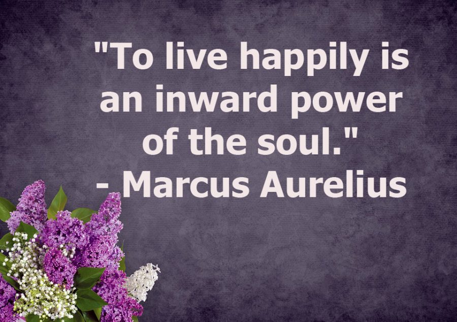 This is a quote by Roman Soldier, Marcus Aurelius.