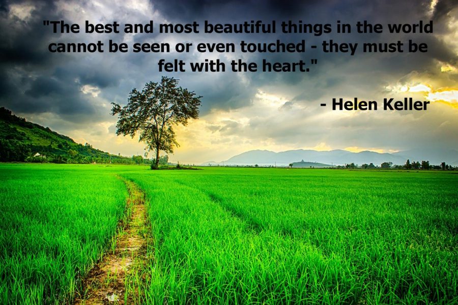This is a quote by author, Helen Keller.