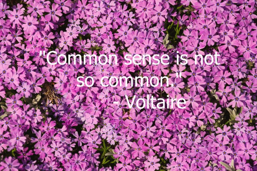 This is a quote by French Writer, Voltaire.