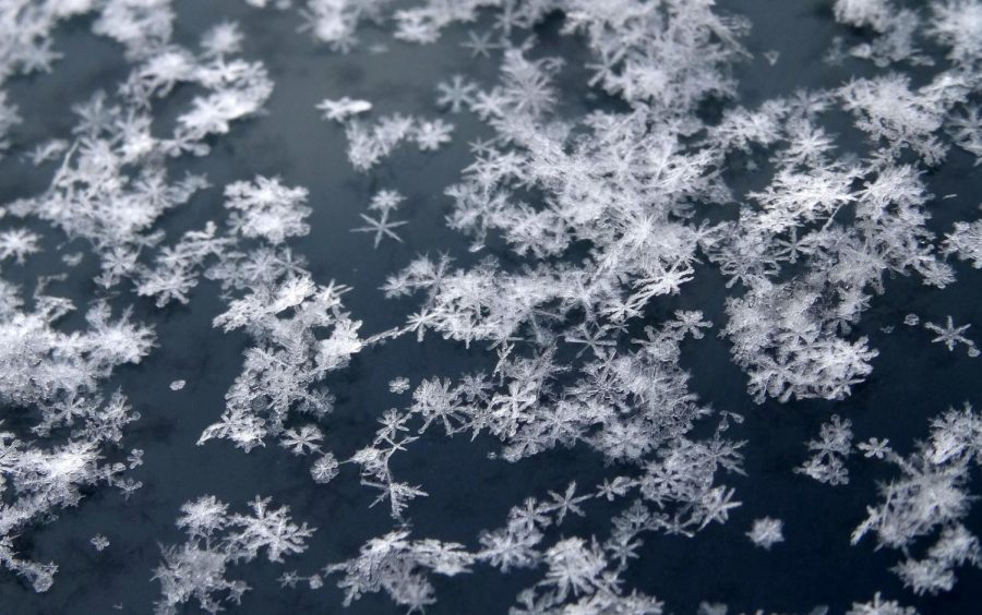 Most snowflakes fall at speeds of one to 6 feet per second.