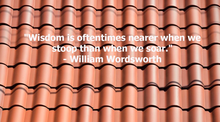 This is a quote by English Poet, William Wordsworth. 