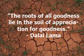 This is a quote on leader, Dalai Lama.
