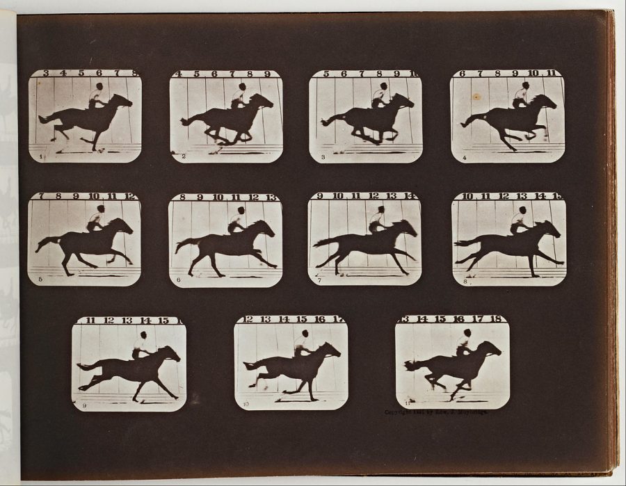 Eadweard_Muybridge_-_Sallie_Gardner_Running_from_The_Attitudes_of_Animals_in_Motion_-_Google_Art_Project