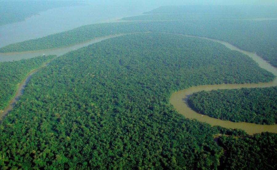 The Amazon Rainforest has been in the process of saving because of all the deforestation