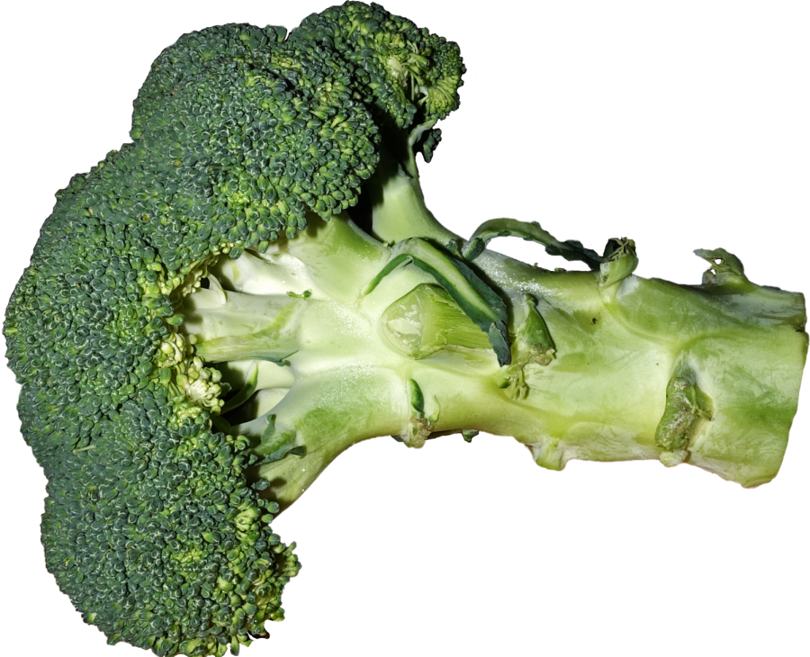 Broccoli heads are also called florets