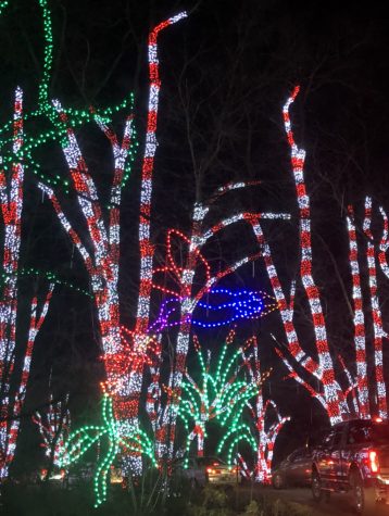 This sweet section of the show features dozens of trees wrapped in red, white, blue, green, and purple lights. Birds, elves, and Santas can all be seen throughout.  