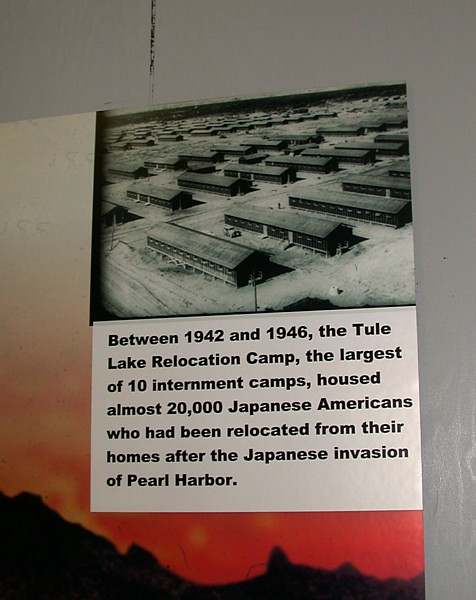 internment camps