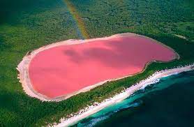 Pictured is Lake Hillier with a rainbow following a rain storm. Its pink water heavily contrasts the blue hue of the nearby ocean.