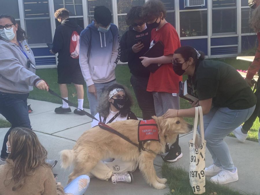 As+part+of+Colonias+SEL+program%2C+therapy+dog+Darius+Ruffer+was+brought+in+to+school.+