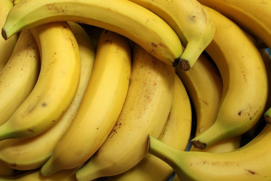 Pictured above are bananas, which have been harvested in South Asia for the last 10,000 years or so. They come in more than 1,000 varieties. 