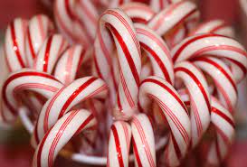 Pictured are candy canes, which are a common treat during Christmas time. They are minty in flavor, and now come in a variety of colors besides red and white. 
