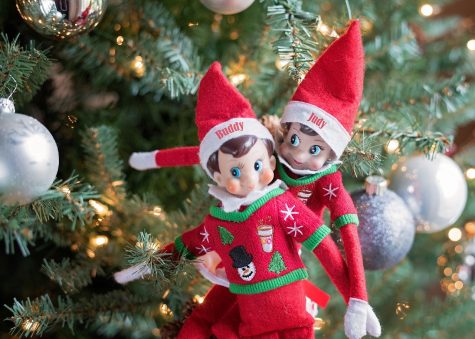 Pictured are two elfs named Buddy and Judy, Theyre nestled in a Christmas tree as their daily hiding spot. 