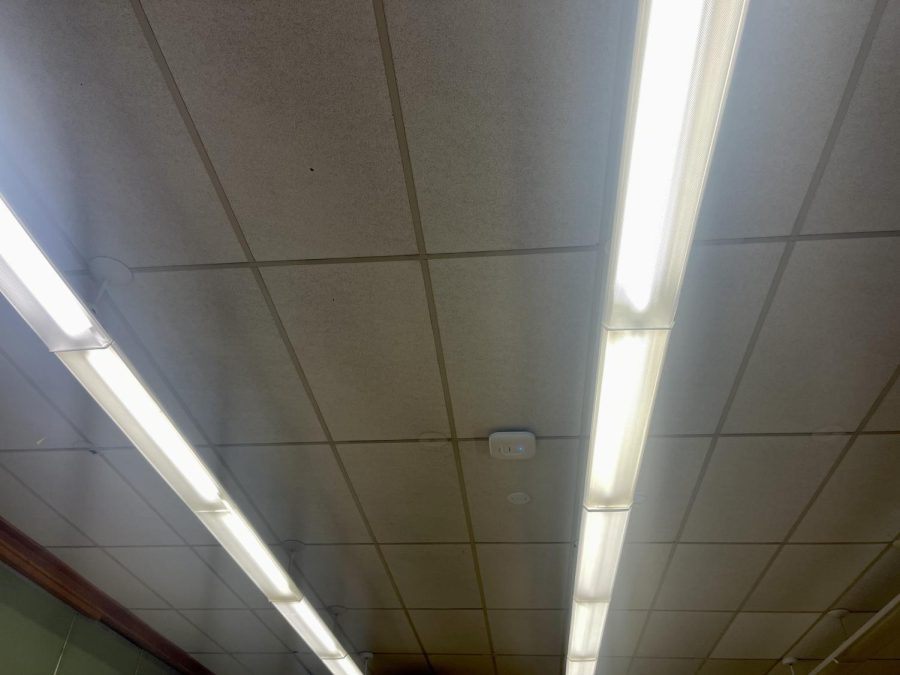 Fluorescent+lights+are+used+in+schools+all+over+the+world.+However%2C+these+lights+may+be+impacting+students+learning+experience+and+performance+abilities.